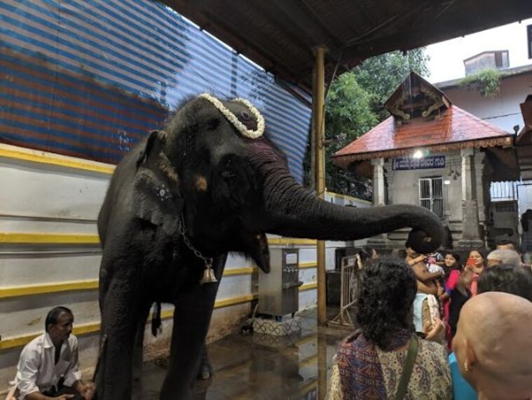 Kukke Subramanya Temple-3